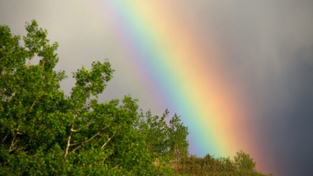 rainbow